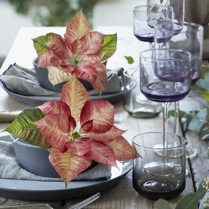 Galateo & Arte della Tavola